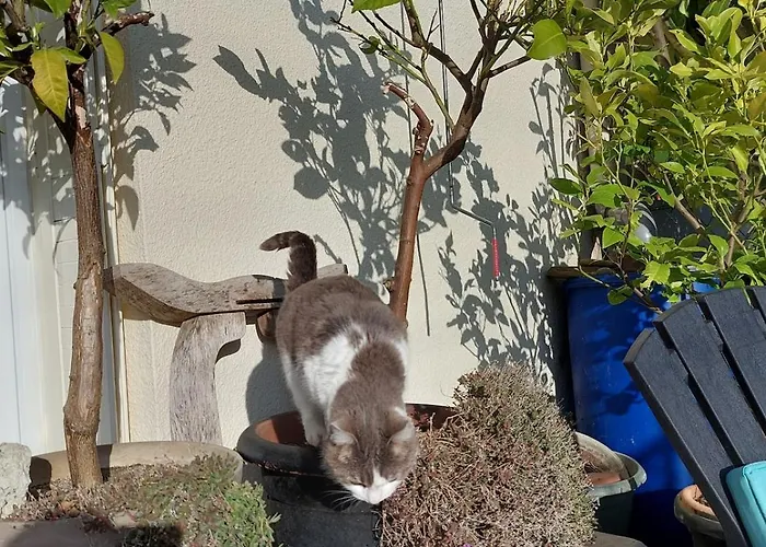 Casa vacanze Dans Un écrin De Verdure *