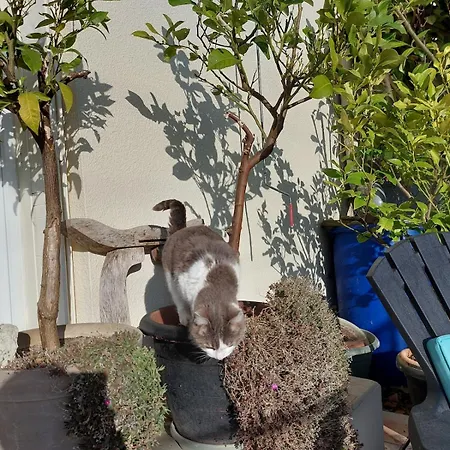 Nyaraló Dans Un Ecrin De Verdure *